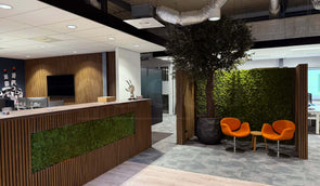 Geluidsoverlast in open kantoren oplossen