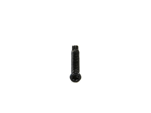 Kop van de torxschroef 4 x 30 mm, T15